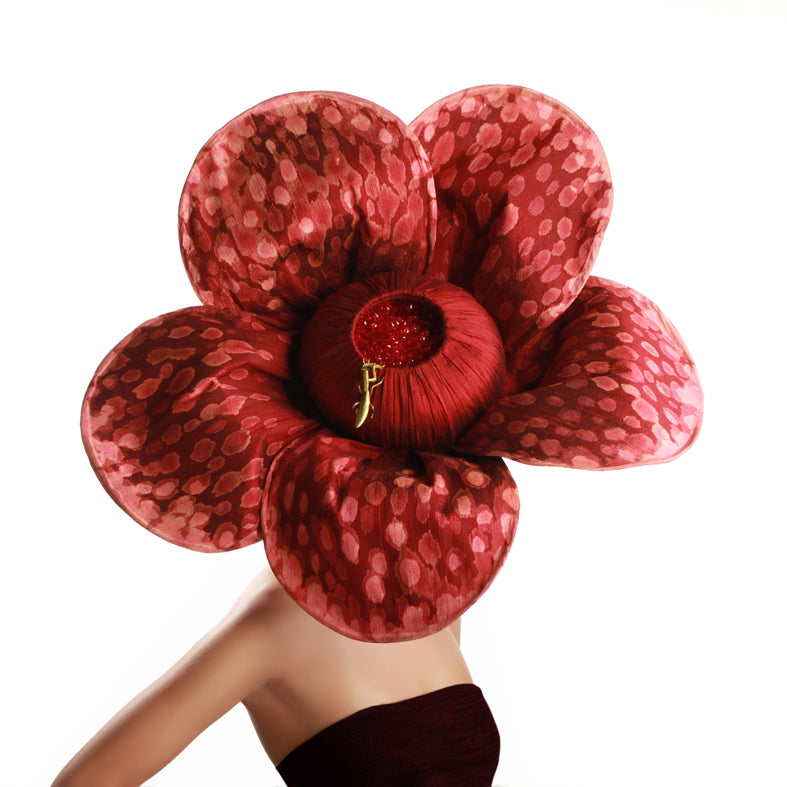 "Rafflesia"